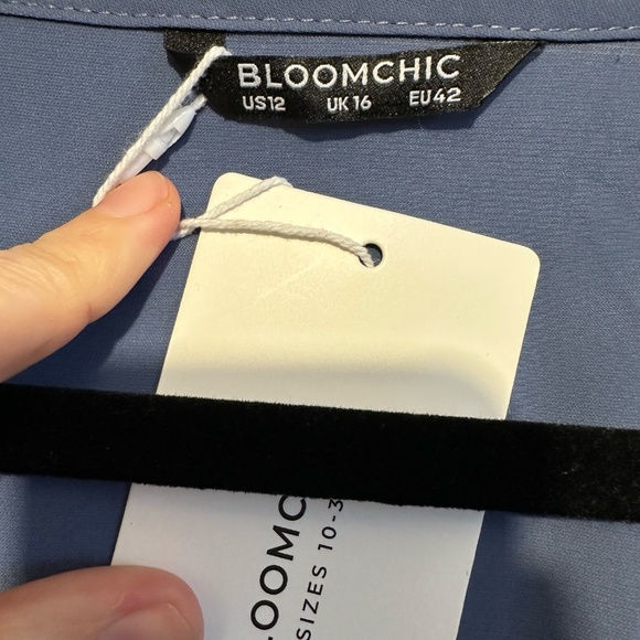 NWT Bloomchic Midi Dress - size 12 - Picture 5 of 6